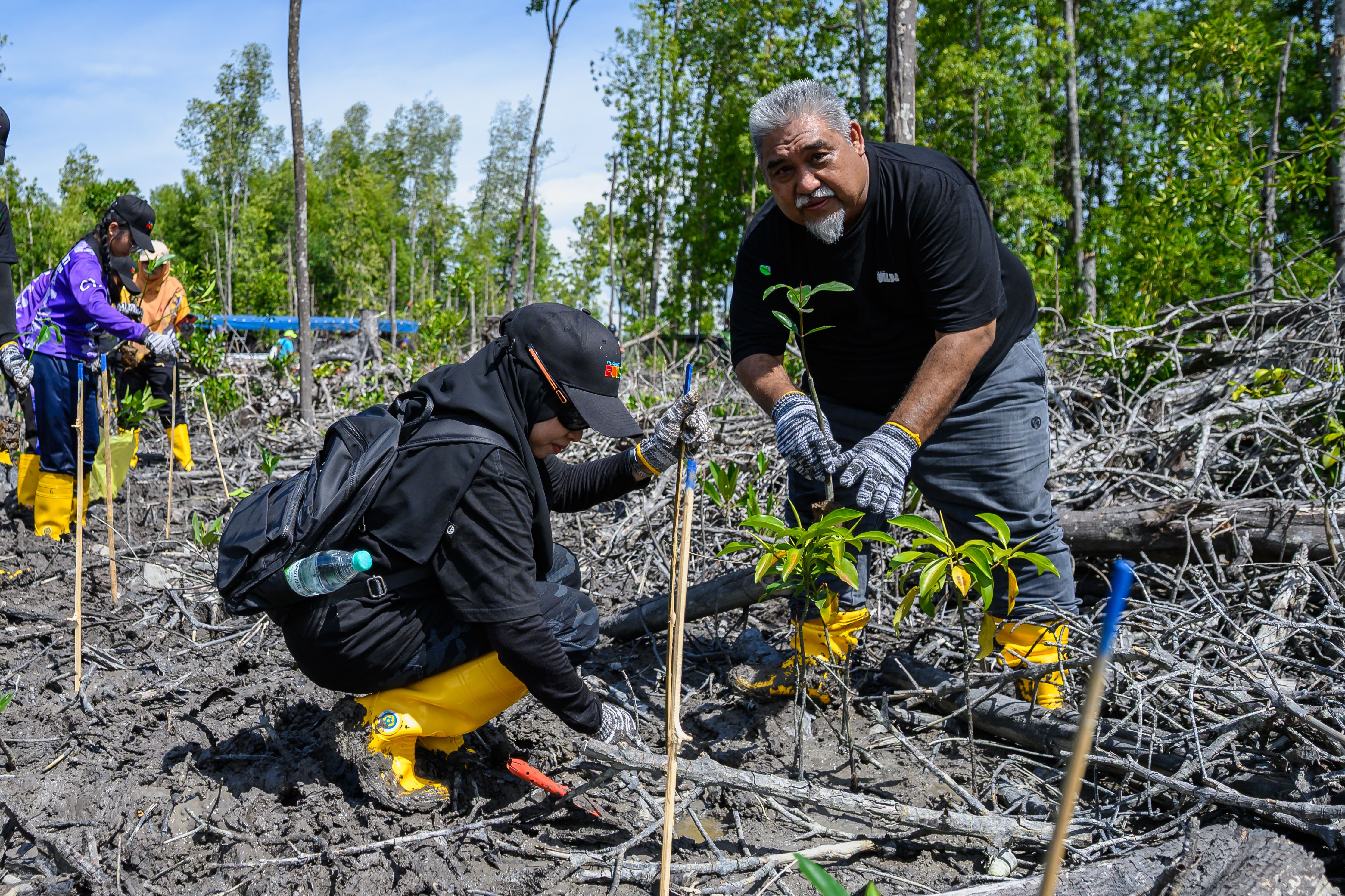 BUILDS Volunteers spent their weekend greening the mangrove space in Kuala Sepetang.jpg