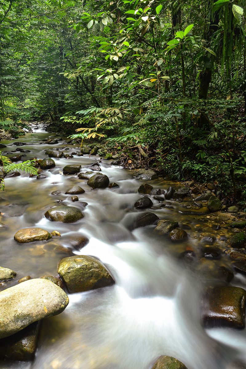 Helping Malaysia build greener